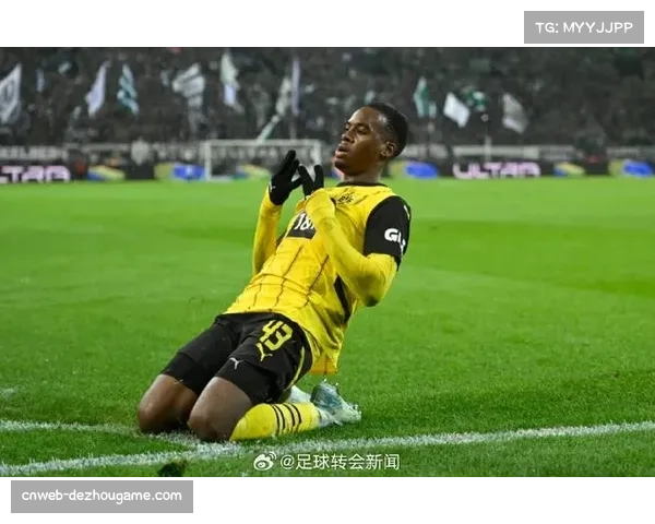 拜仁传统与创新融合,足球学校培育未来之星